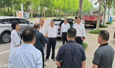 ���� (25).png