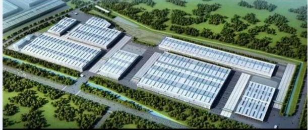 ����������弶���޽�����Ŀ��ྲ�����ϳ����������������ϳ���˳���б�